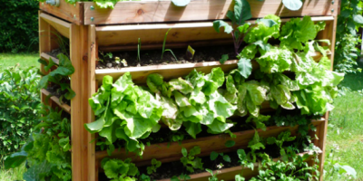 herbios system herbios system